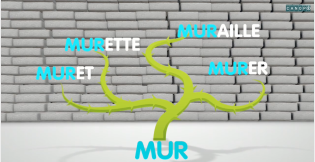 Au fond un mur, devant une ronce avec des mots : à la racine le mot MUR, au bout de chaque branche les mots MURET / MURETTE / MURAILLE / MURER